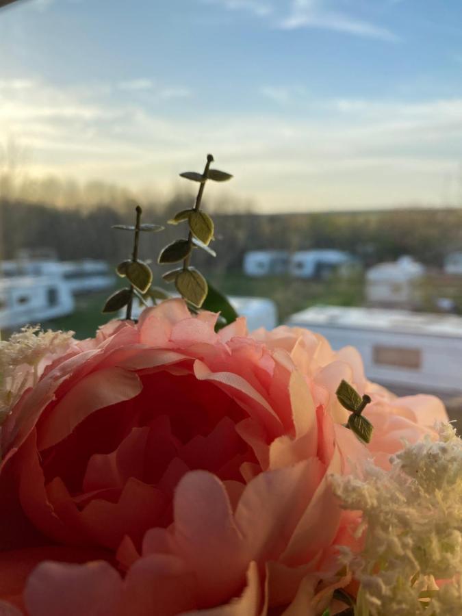 Nm Residence Shkorpilovtsi Zewnętrze zdjęcie